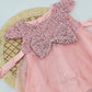 Baby Girl Sequin Tulle Party Dress