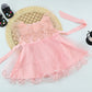 Baby Girls Butterfly Tulle Party Dress