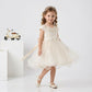 Baby Girls Beige Lace Tulle Party Dress