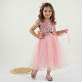 Baby Girl Sequin Tulle Party Dress